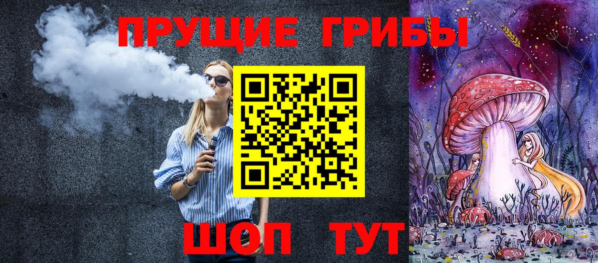 Тосно  наркота  Вход с VPN  Псилоцибиновые грибы прущие грибы 