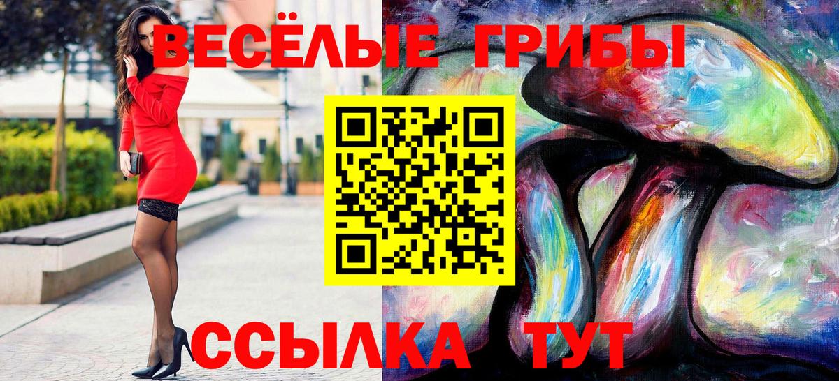 Псилоцибиновые грибы Cubensis Тосно