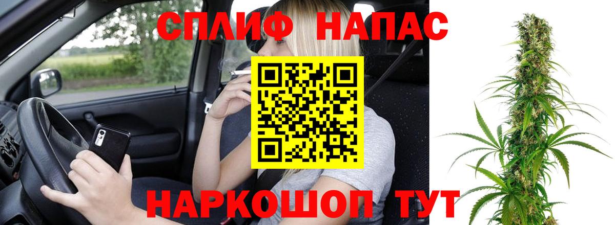 Конопля гибрид Тосно