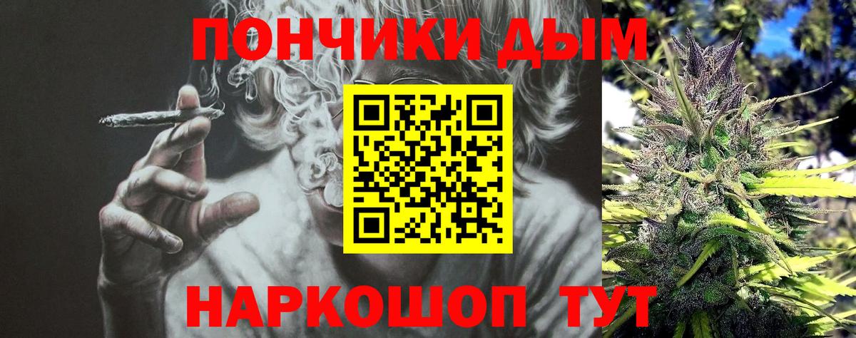 Тосно  Бошки Шишки марихуана  Канабис ГИДРОПОН  Марихуана тримм  Вход с VPN 